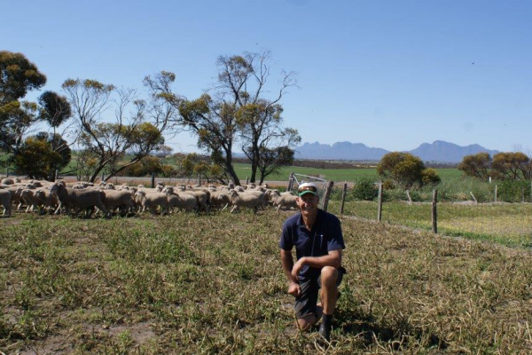 STIRLING FOCUS ON PRIME LAMBS image