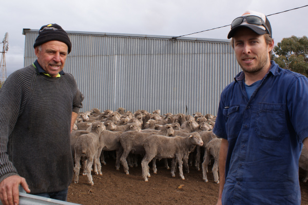 WINNING WITH MERINO MOTHERS image